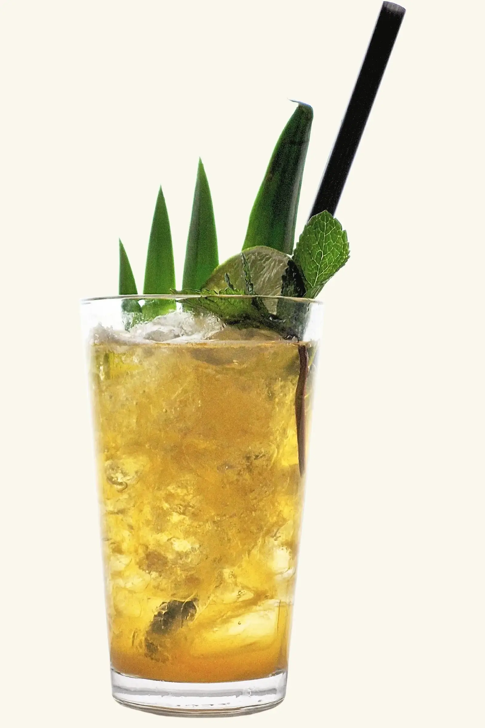 pirat zawodowiec